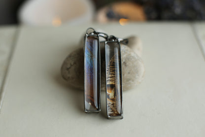 Real blue Morpho Butterfly wing earrings