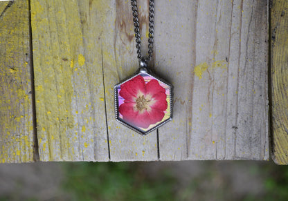 Preserved rose Necklace, Hexagon pendant