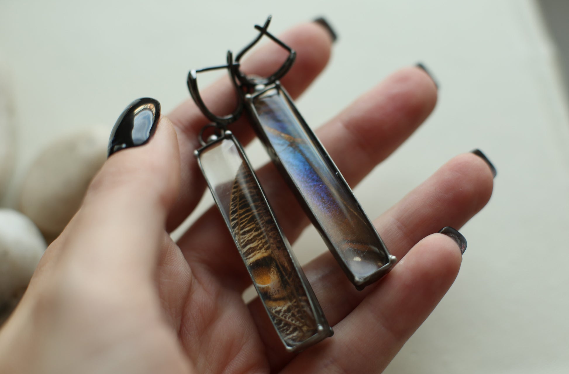 Real blue Morpho Butterfly wing earrings